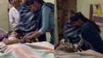 Chhattisgarh News; पंडवानी गायिका तीजन बाई की तबीयत बिगड़ी, रायपुर एम्स में इलाज जारी, हालत गंभीर