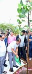 CM Vishnu Deo Sai plants sapling under ‘Ek Ped Maa Ke Naam’ campaign
